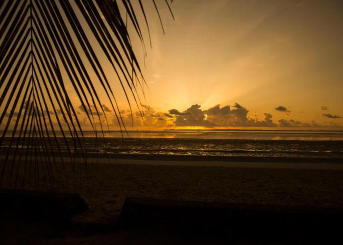 Antonio Beach Tree House Hotel & Spa