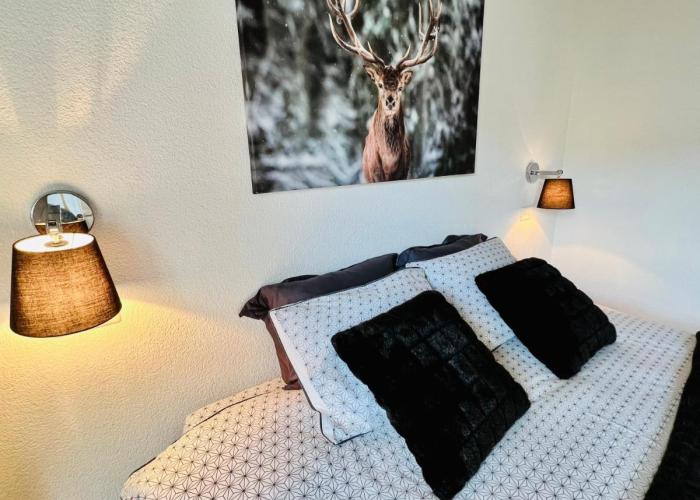 Saas-Fee renovated flat in center of the village