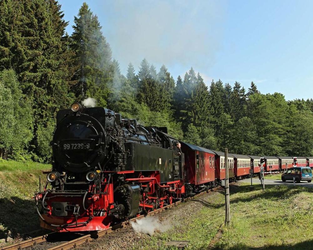 фото Fewo-Liza