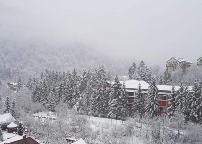 Elite Apartments Sinaia