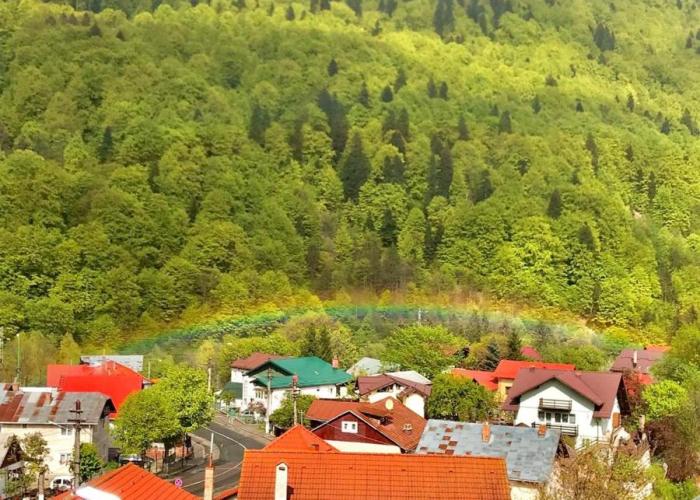 Elite Apartments Sinaia