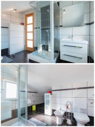 Haus Petra studio app