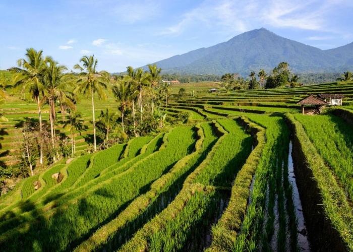 KTS Wanaprasta Resort
