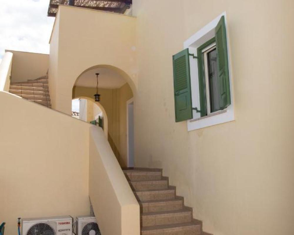 фото Mostra