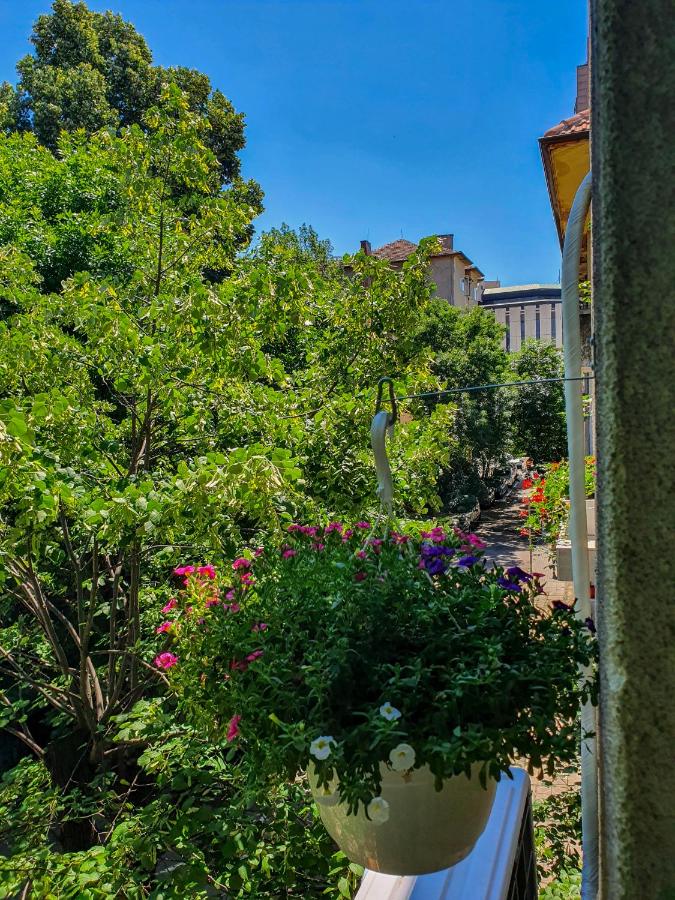 фото Roza Home