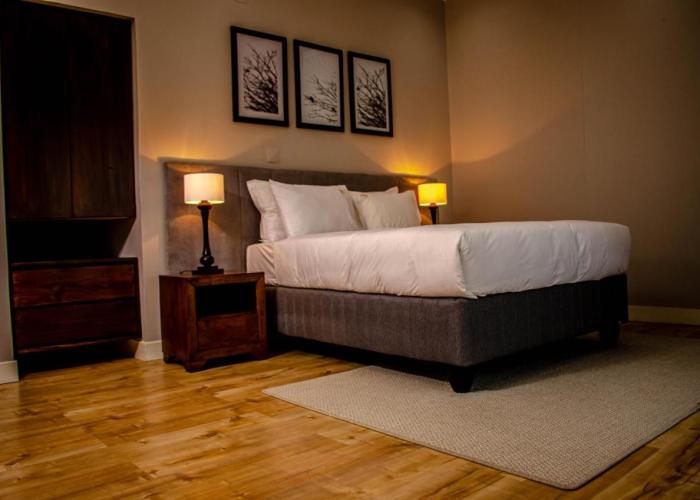 Terra Guest House