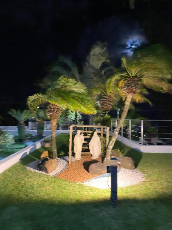 фото Paradise Flat