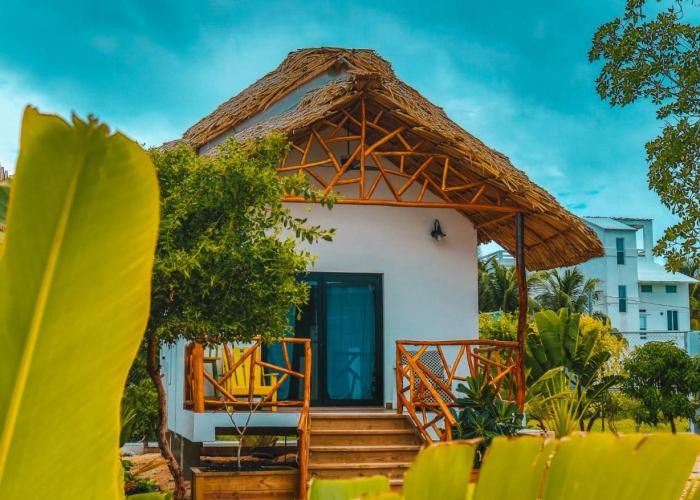 Blue Fin Cabanas