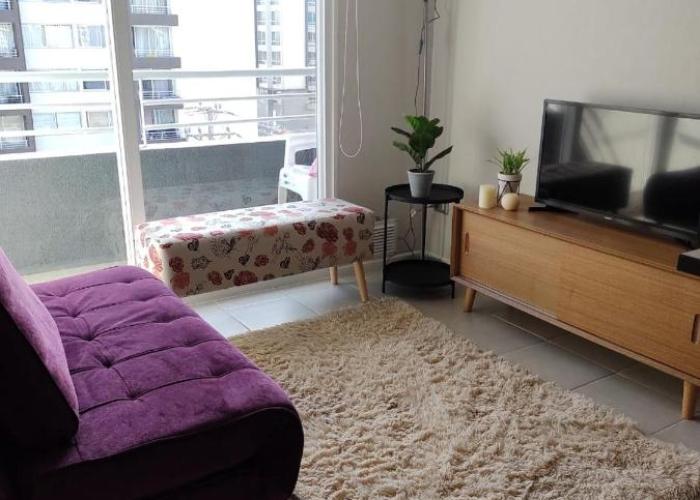 New Relax Departamento