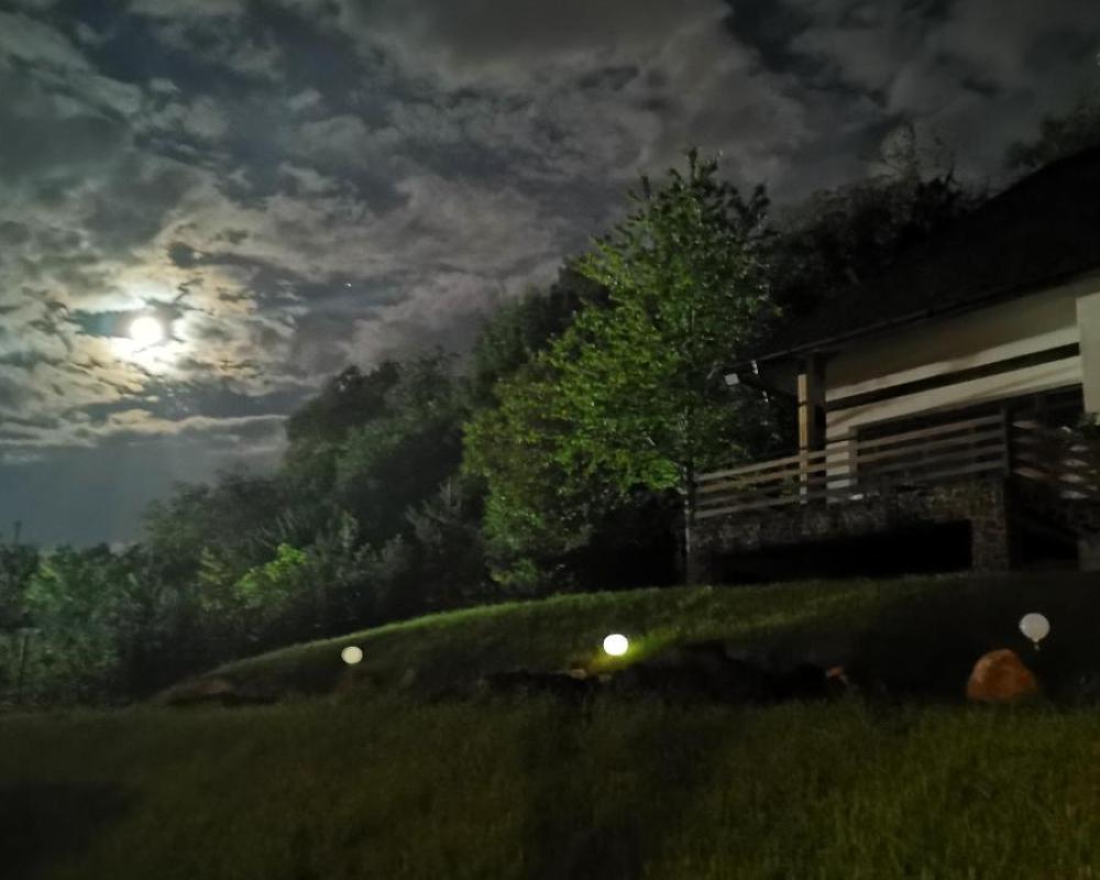 фото Provence Suceava