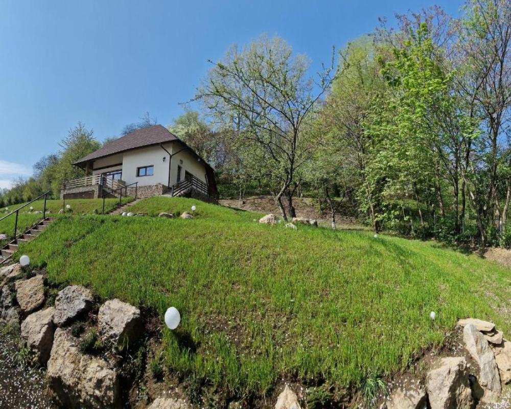 фото Provence Suceava