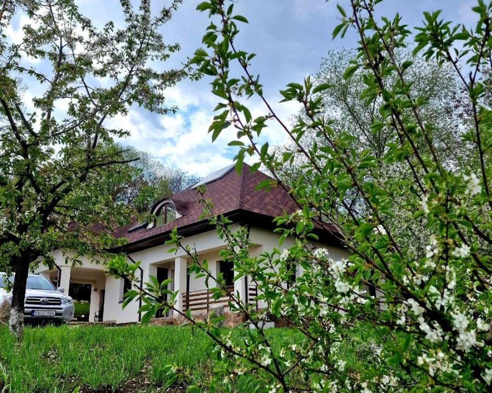 фото Provence Suceava