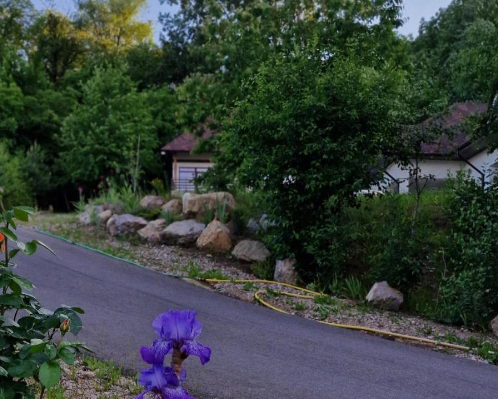 фото Provence Suceava