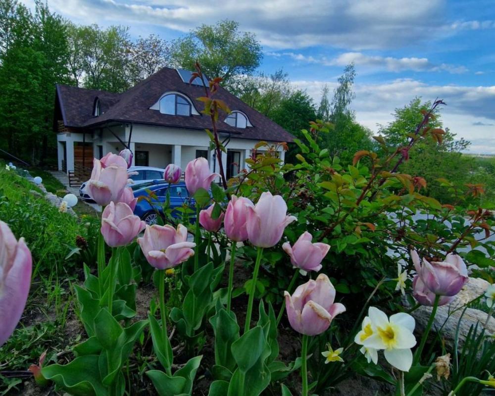 фото Provence Suceava