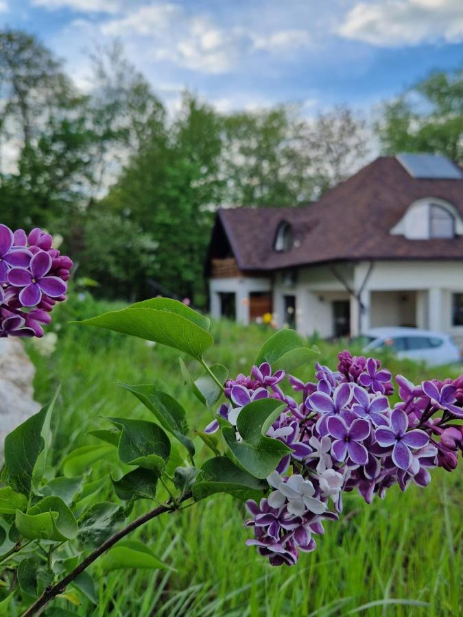фото Provence Suceava