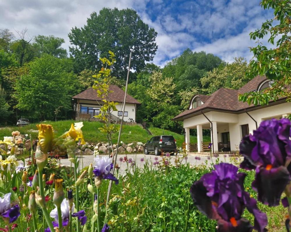 фото Provence Suceava