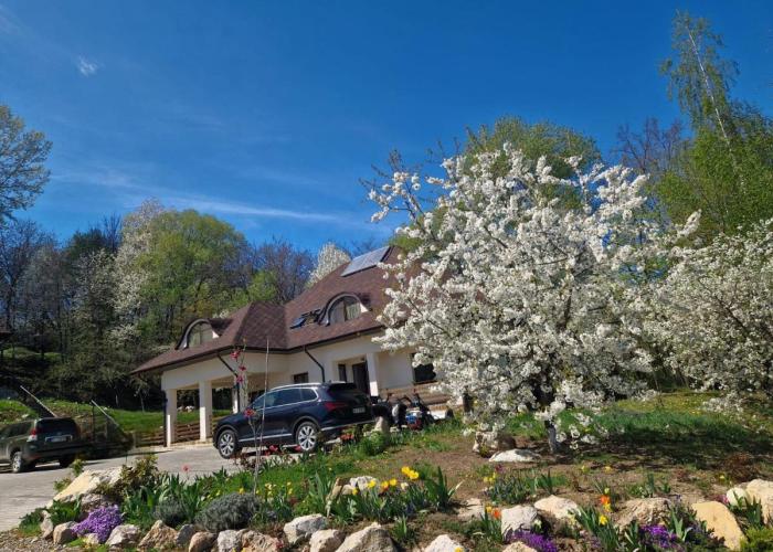 Provence Suceava