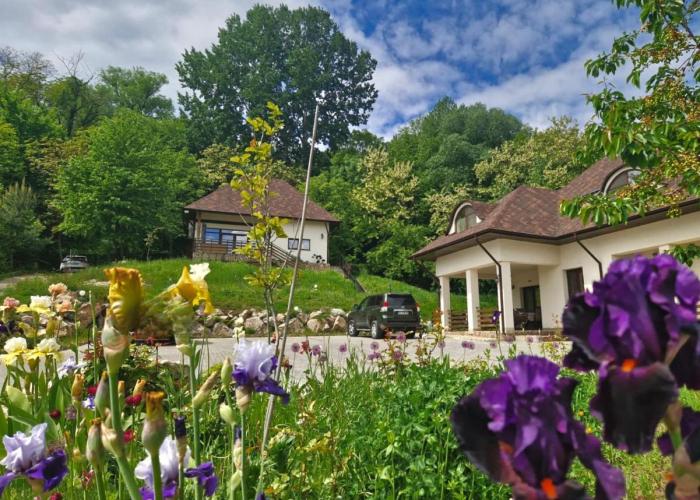 Provence Suceava