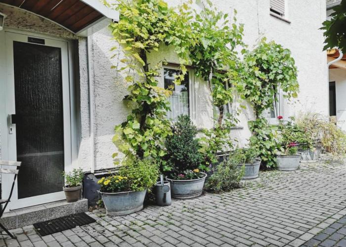 Hotel Meuser