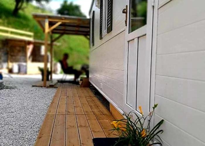 Lexi Zen House