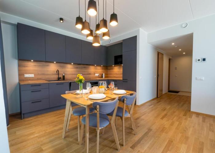 Delta Luxury Apartment with terrace
