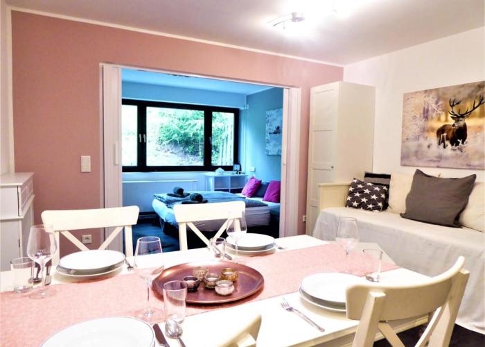 Harmony Winterberg Ferienwohnung 4 Pers Wifi Terrasse near Lift