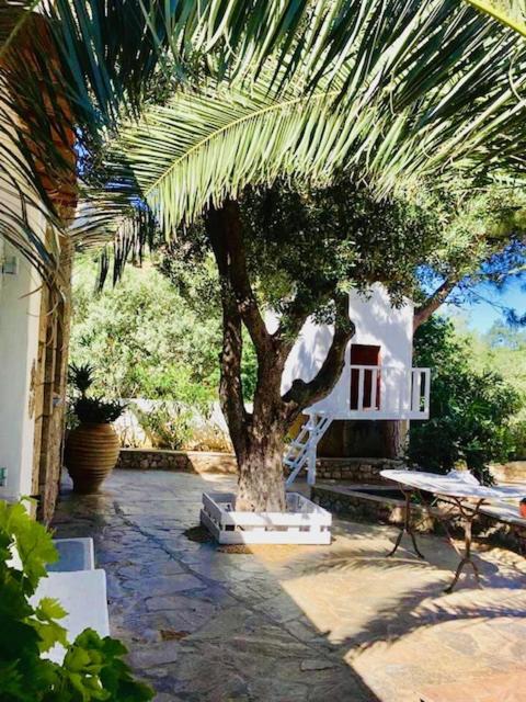 фото La Bastide