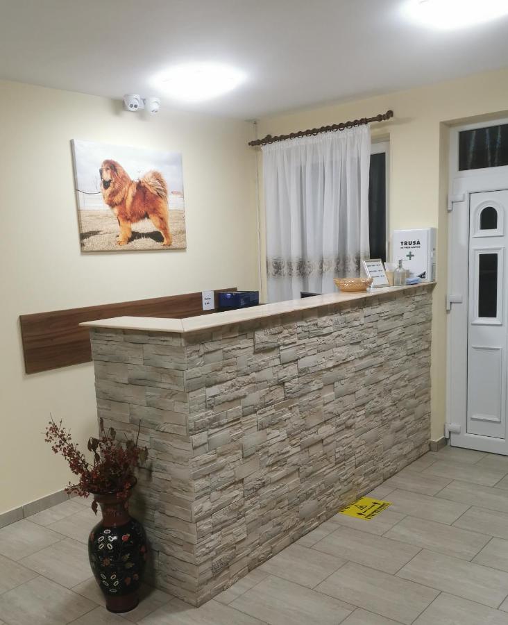 фото Thor și Cora