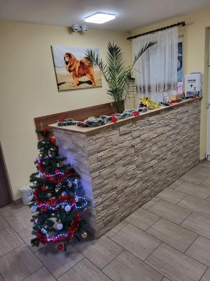 фото Thor și Cora