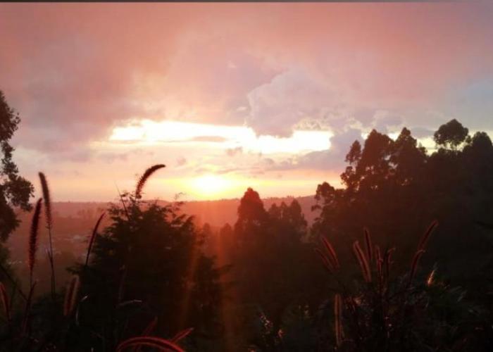 Hotel Natura Cocora