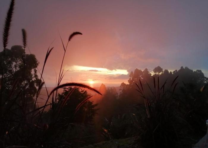 Hotel Natura Cocora