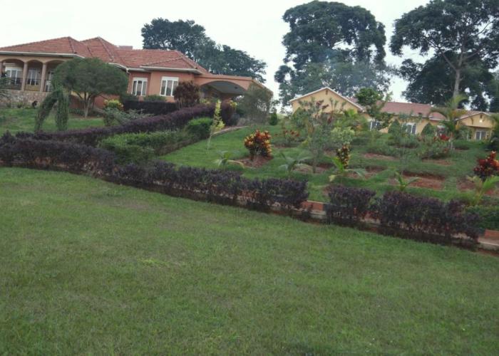 Kaz Breeze Gardens