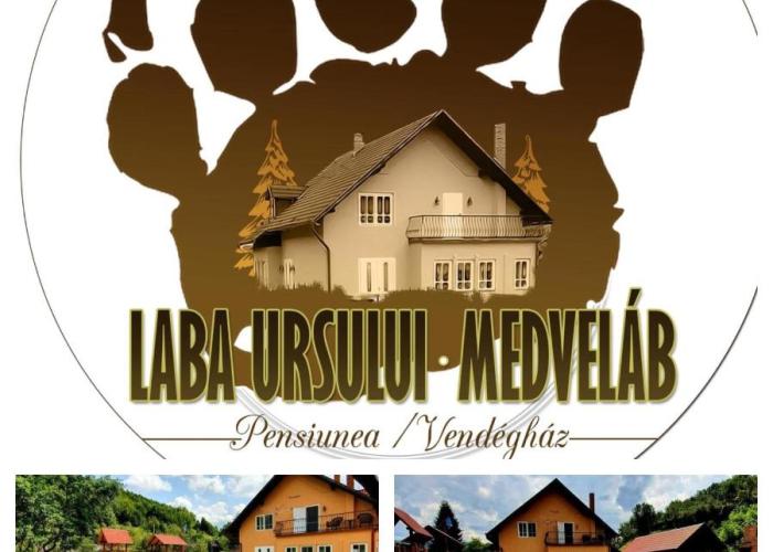 Pensiunea Laba Ursului - Medveláb Vendégház