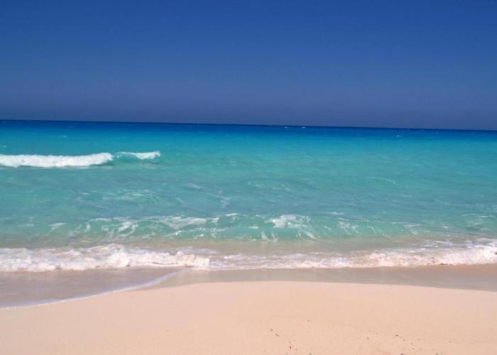 شاليه بحديقة يري البحر , بانوراما بيتش ريزورت , الساحل الشمالي The North Coast , Sea View Garden Chalet