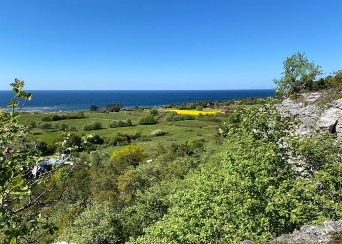 Holiday homes Brissundsbyn
