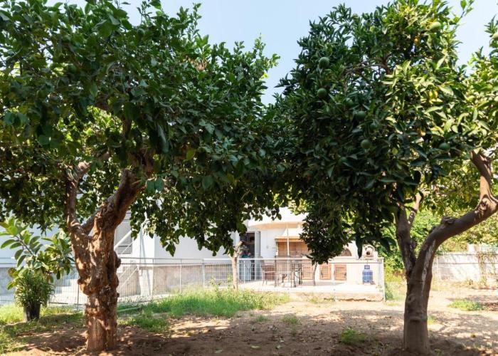 Garden House Preveza