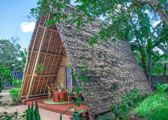 Charming Eco-Homestay near Kilimanjaro International Airport