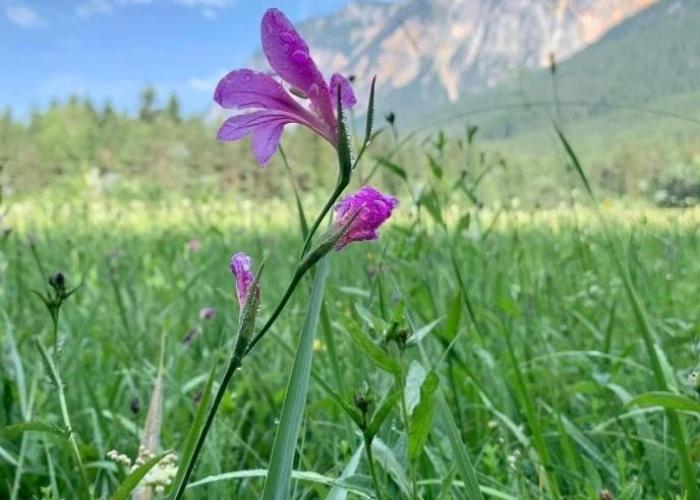 Ferienhaus Auszeit Natur