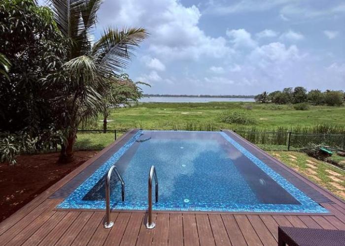 Blue Wild - Yala