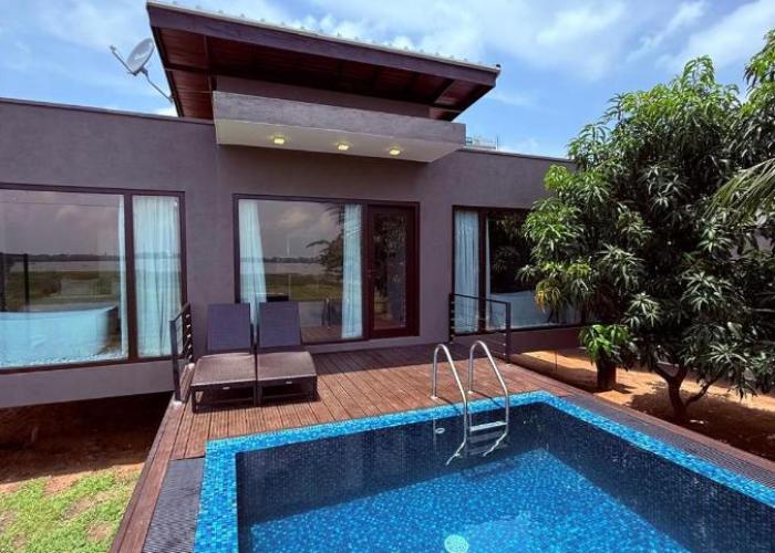 Blue Wild - Yala