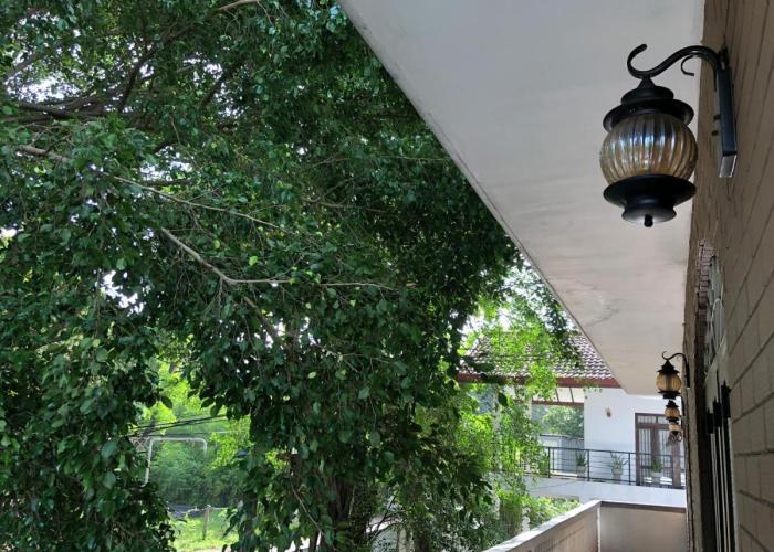 Murphy's Villa