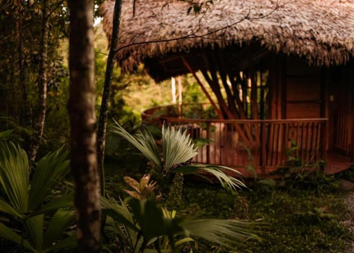 Bosque Guardian Lodge