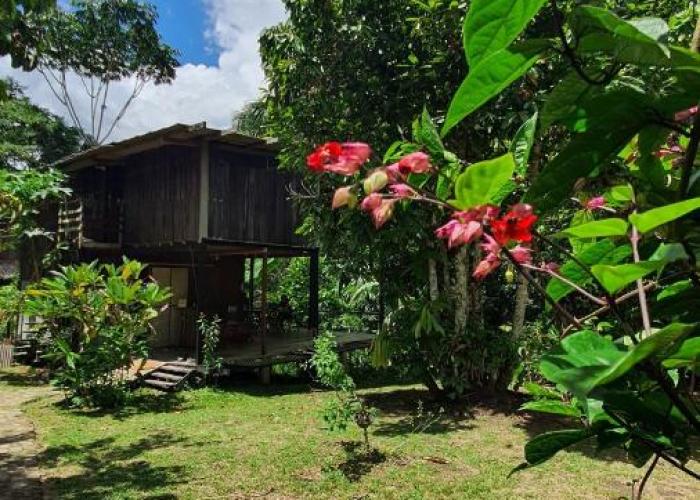 Amazona Lodge