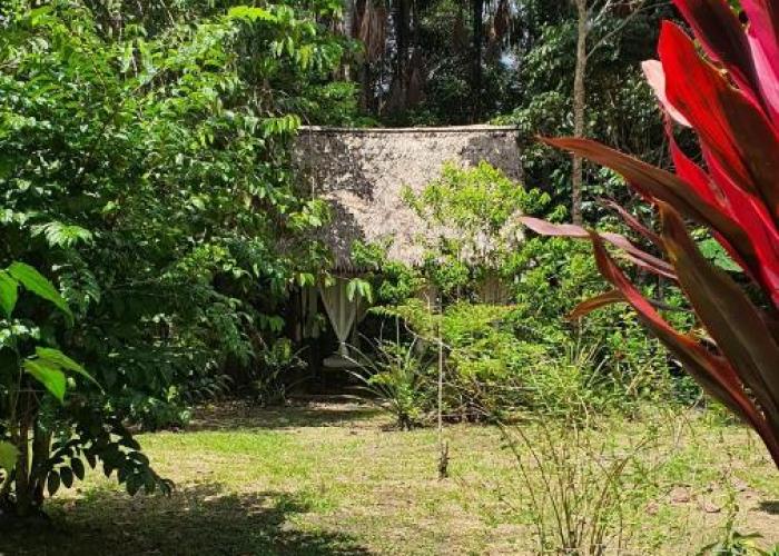 Amazona Lodge