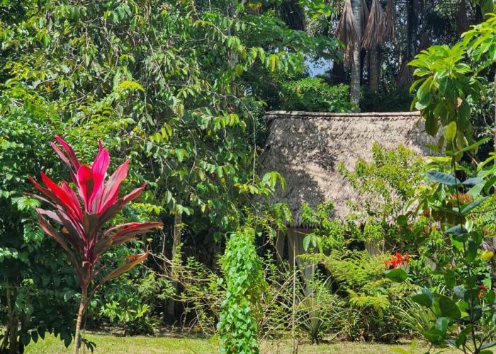 Amazona Lodge