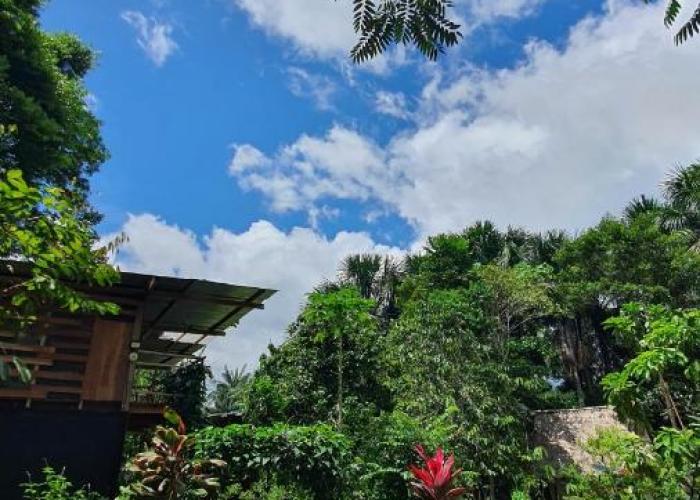 Amazona Lodge
