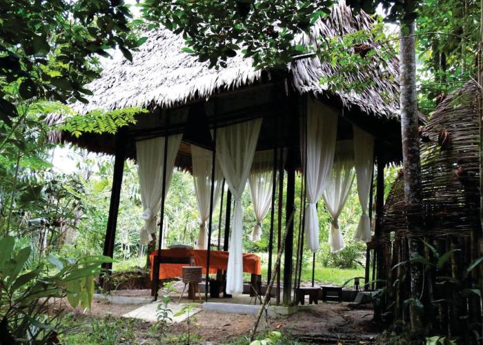 Amazona Lodge