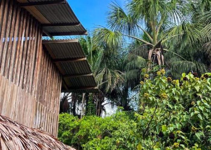 Amazona Lodge