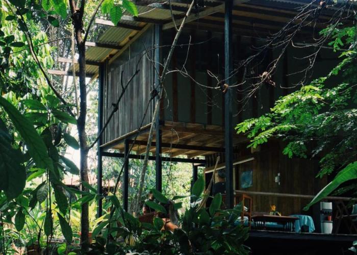 Amazona Lodge