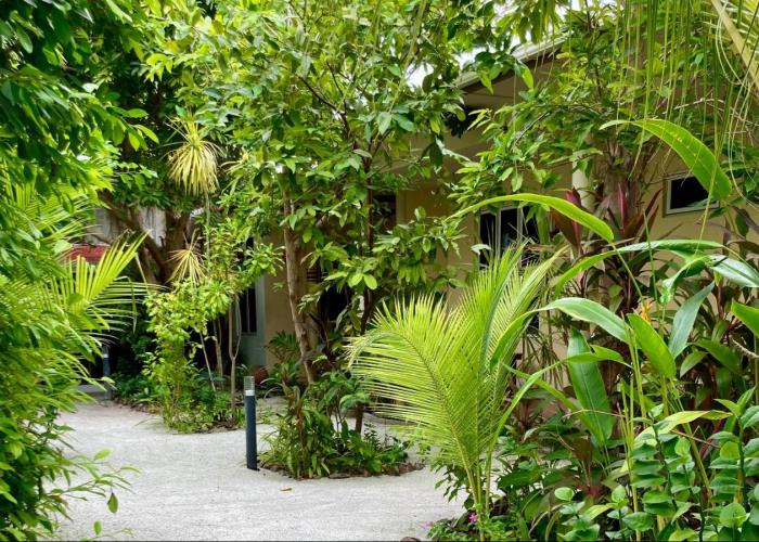 Dhangethi Retreat